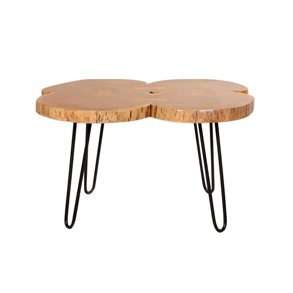 29 Inch Acacia Wood Coffee Table, Live Edge, Quatrefoil Top, Iron Hairpin Legs, Brown and Black By The Urban Port