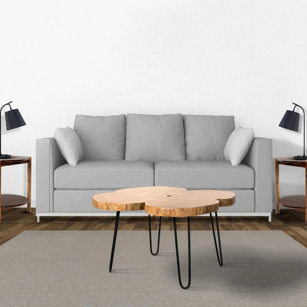 29 Inch Acacia Wood Coffee Table, Live Edge, Quatrefoil Top, Iron Hairpin Legs, Brown and Black By The Urban Port