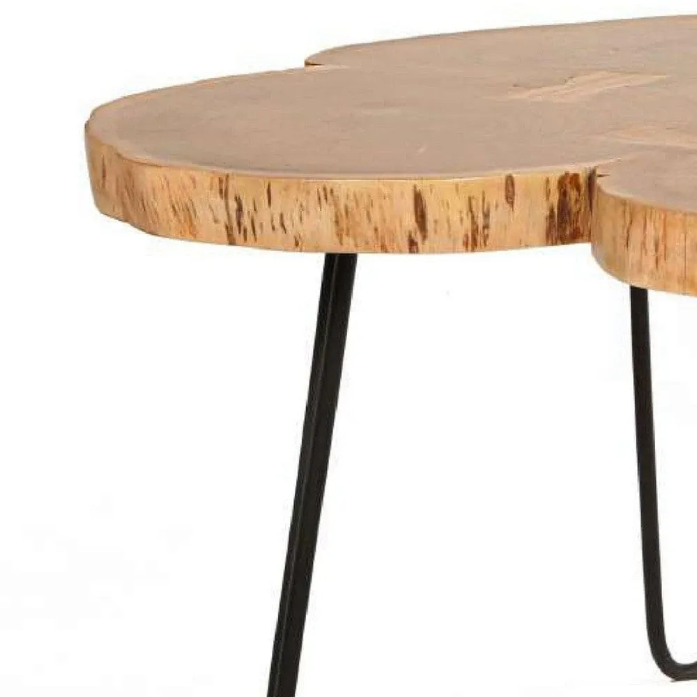 29 Inch Acacia Wood Coffee Table, Live Edge, Quatrefoil Top, Iron Hairpin Legs, Brown and Black By The Urban Port