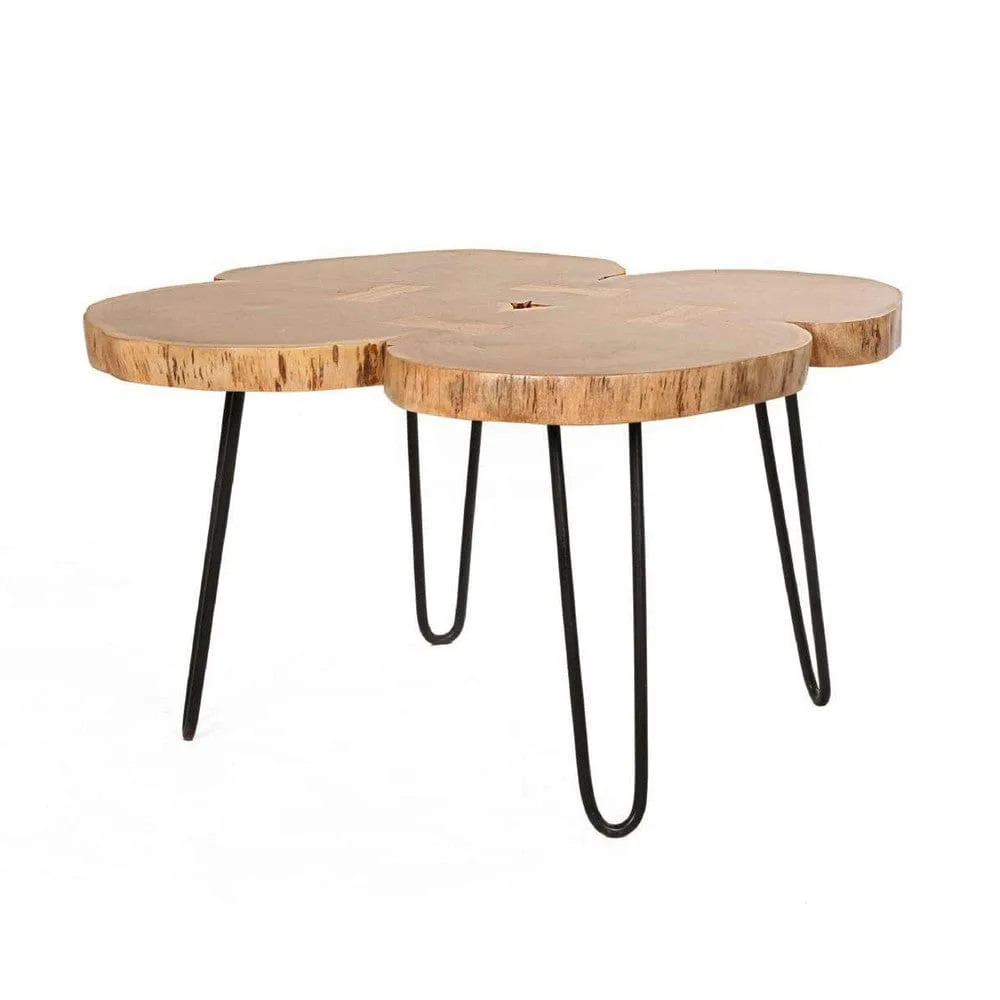 29 Inch Acacia Wood Coffee Table, Live Edge, Quatrefoil Top, Iron Hairpin Legs, Brown and Black By The Urban Port