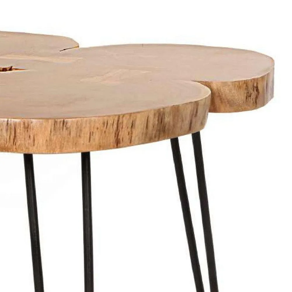 29 Inch Acacia Wood Coffee Table, Live Edge, Quatrefoil Top, Iron Hairpin Legs, Brown and Black By The Urban Port