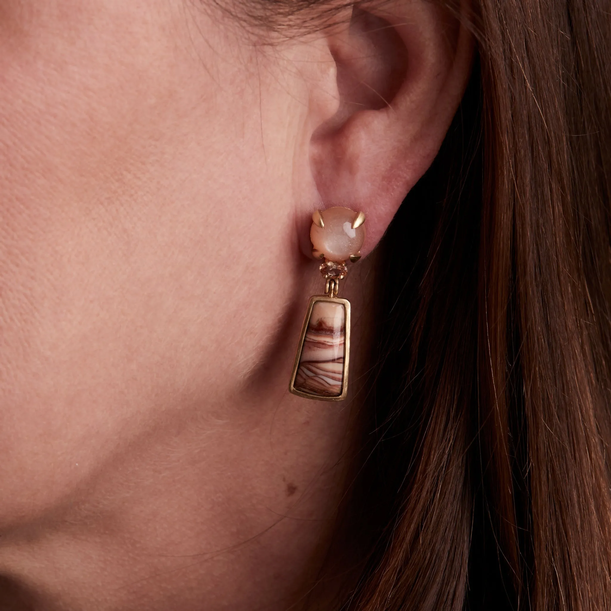 Landscape: Desert, Mohave Earrings