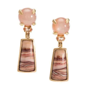 Landscape: Desert, Mohave Earrings