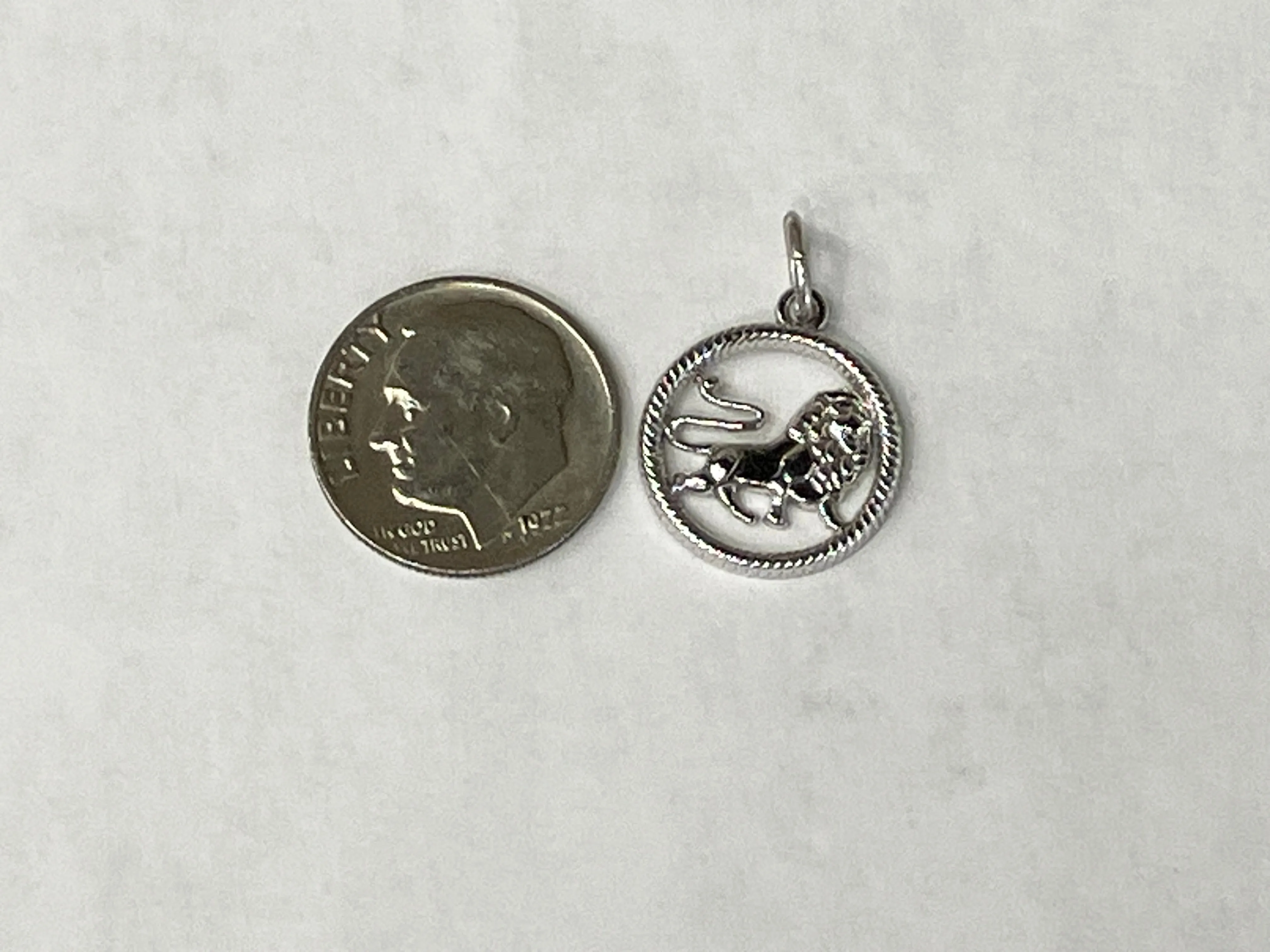 Leo Silver Charm