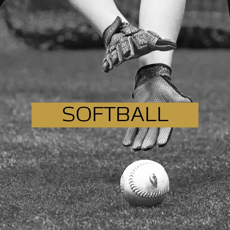 POWERHANDZ Weighted Softball Gloves- 40% off  (Discount Code: POWER40)